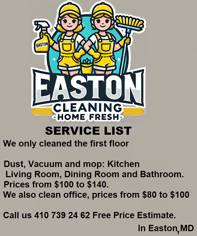 cleaning services